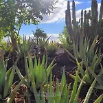 Apartman Paraiso - Dive Radazul